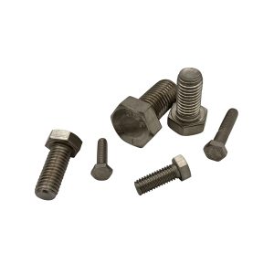 5/16-18X1-3/4 HEX BOLT SS - Image 1