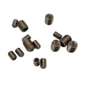 1/4-20X1-3/4 SET SCREW SS